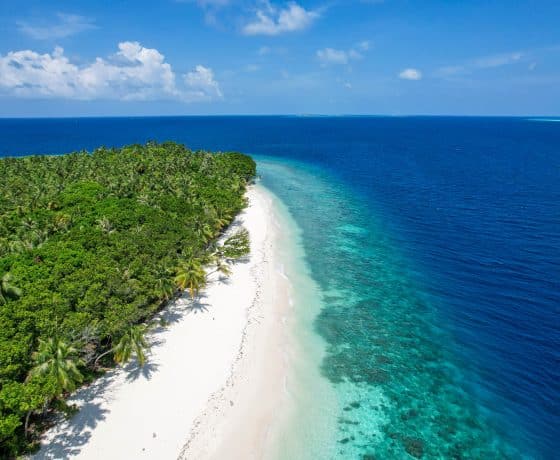 Maldív-szigetek, Thinadhoo, Vaavu Atoll