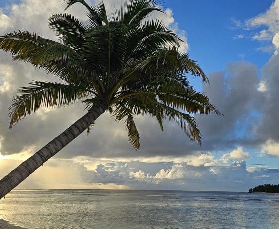Thinadhoo